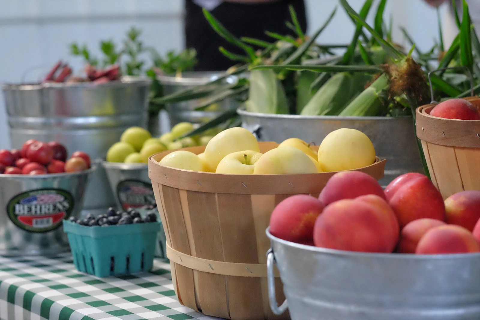 freshly picked apples from a farm 