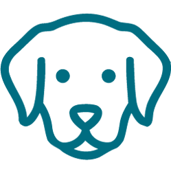 Line drawing of a dog's face with floppy ears.
