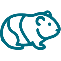 Line drawing of a guinea pig with dark stripes on its body.