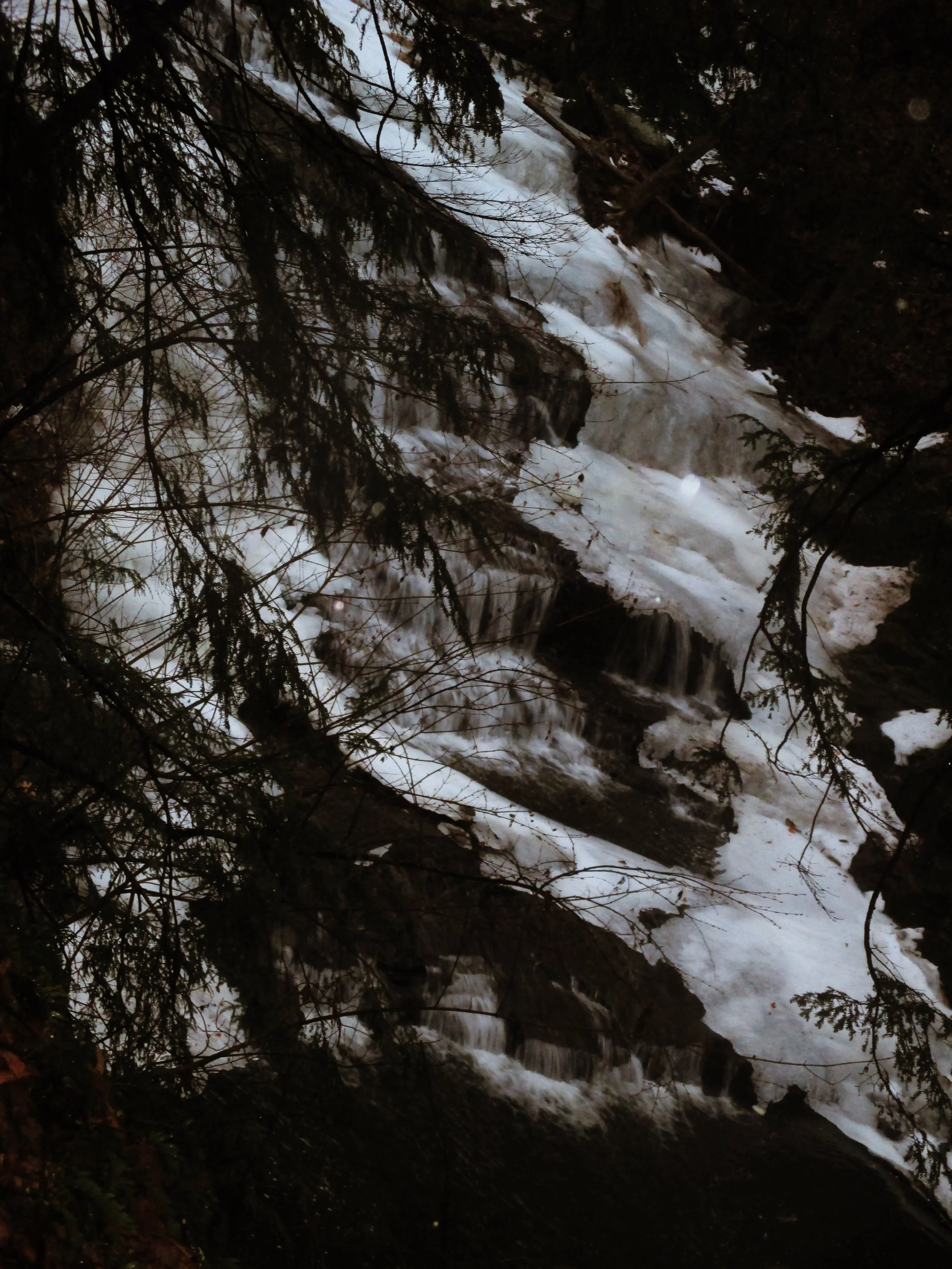 FD94177D-191F-4E6A-961B-82D9330451D2.jpeg