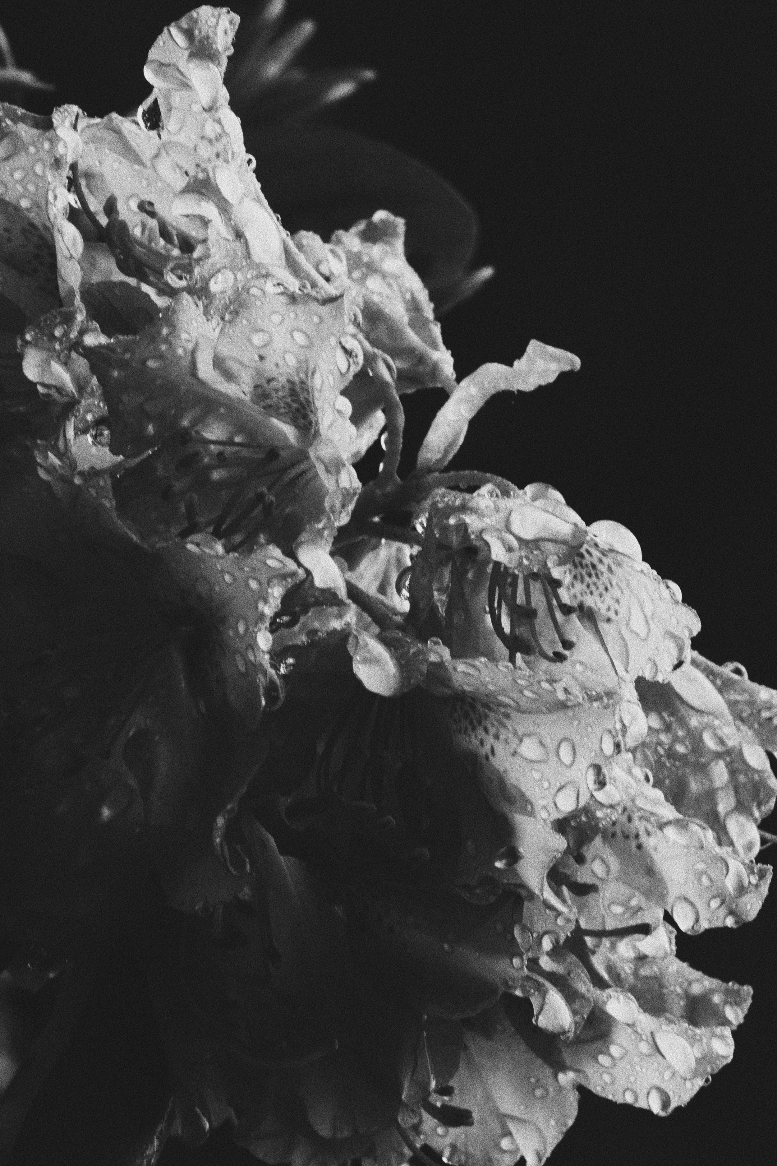 8494DE21-DF34-40E3-94CA-0B1EB938C099.jpeg