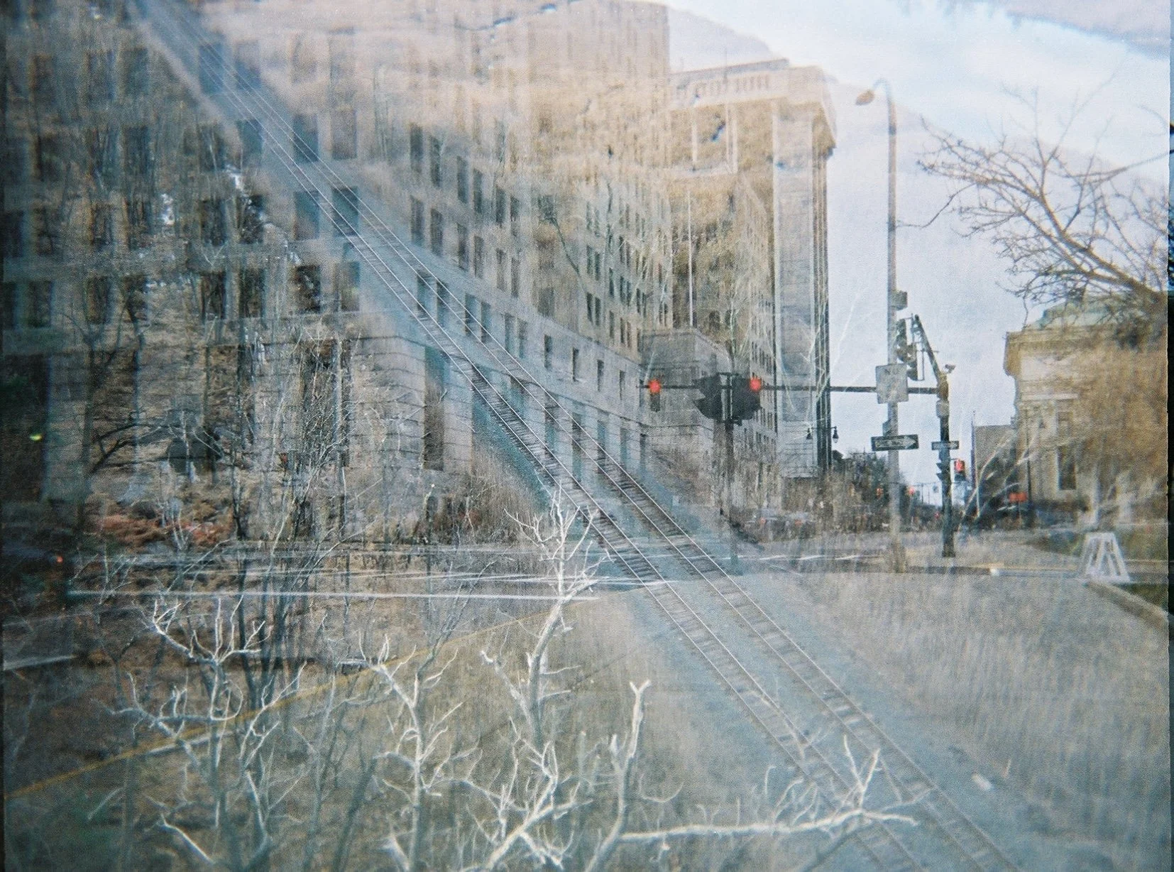 IMG_6401.jpeg