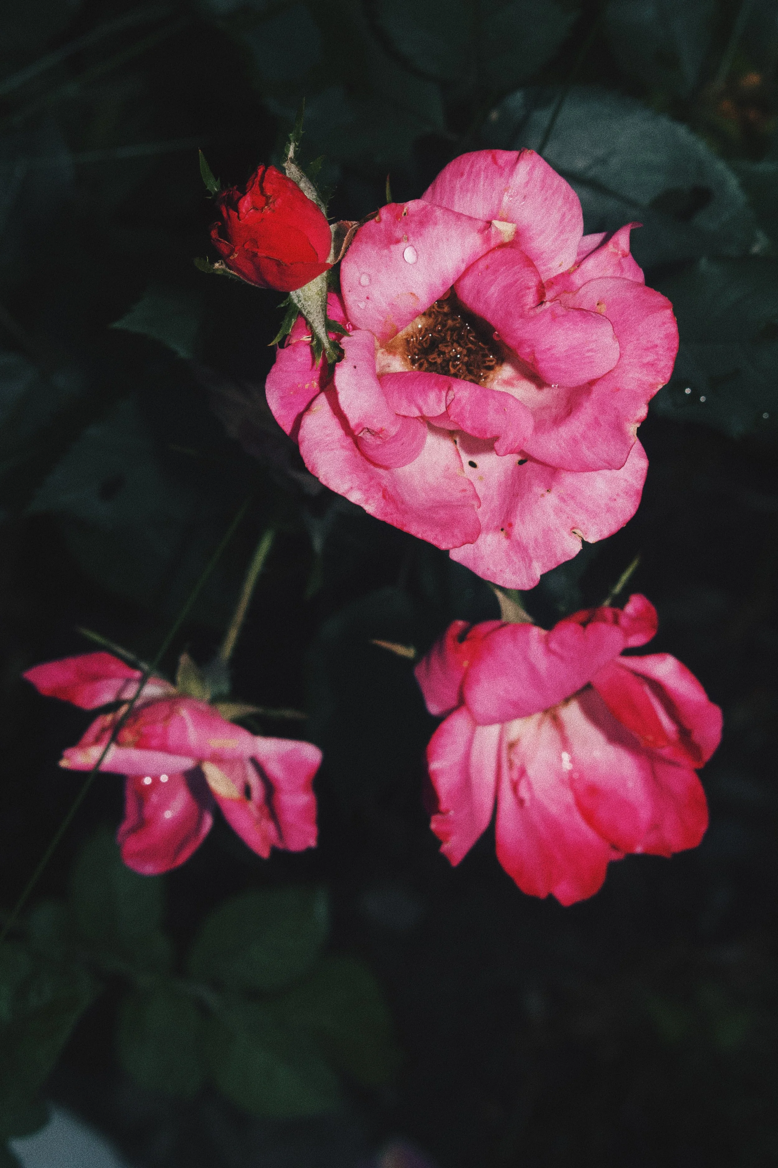 27961A0C-2401-4D47-A047-0AAF1110731A.jpeg
