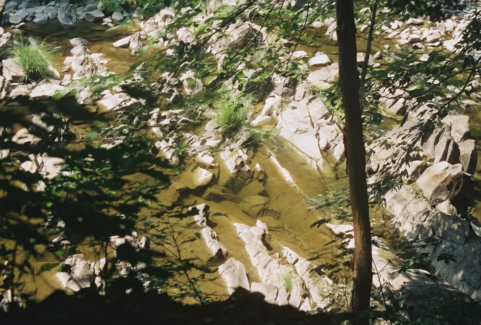IMG_2671.jpeg
