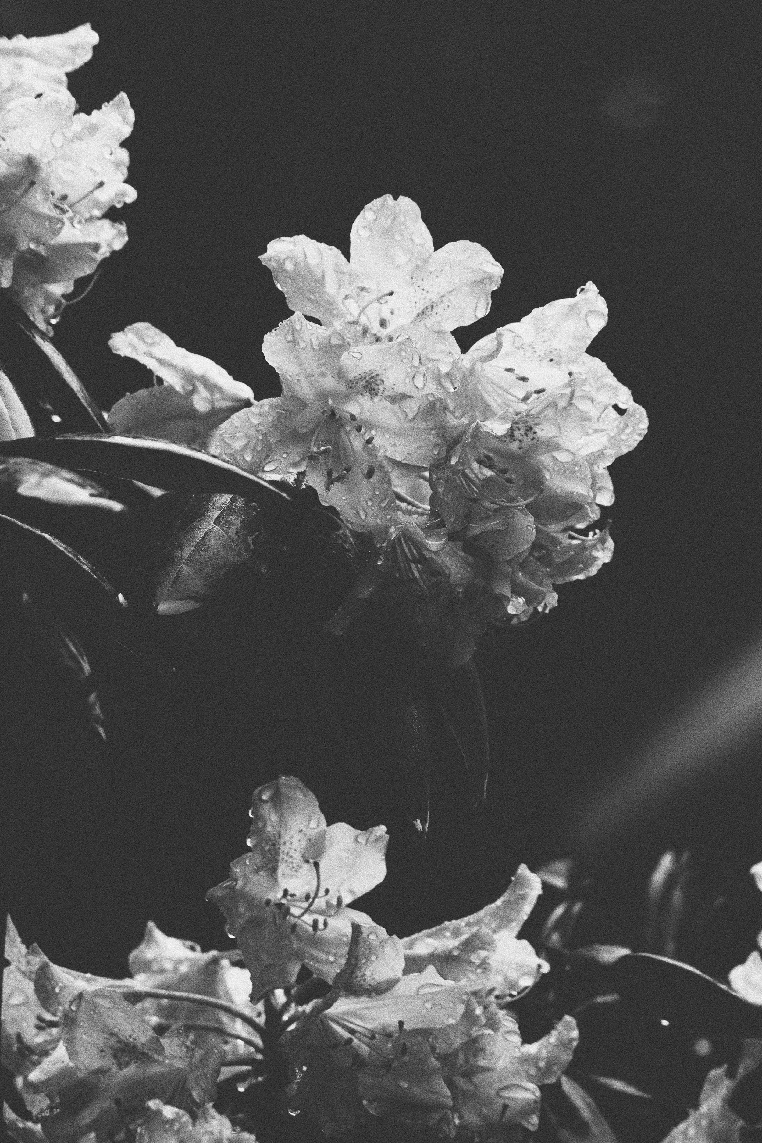 322BE55E-71ED-400E-90F8-9AEBD375C635.jpeg