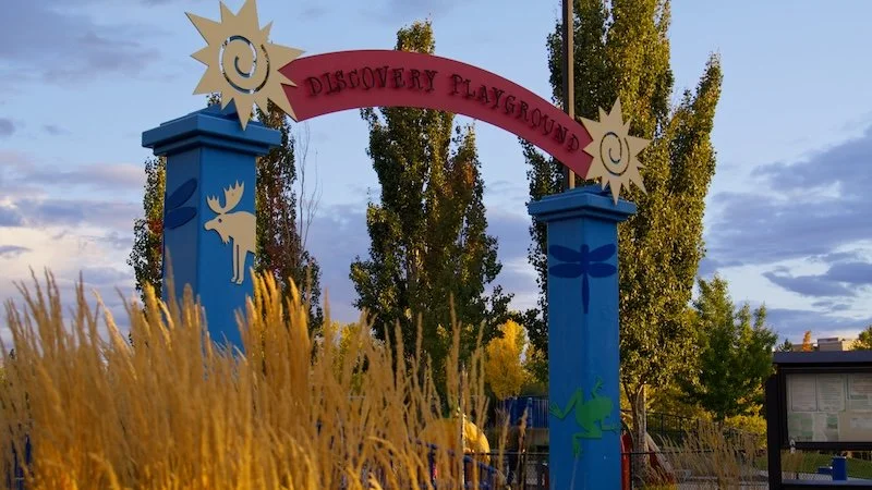 Still 2026-03-12 171751_1.7.1.jpg