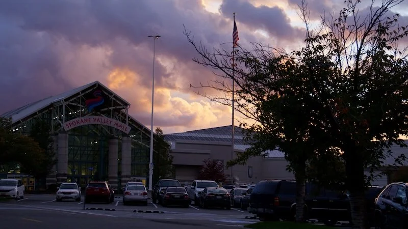 Still 2026-03-12 171751_1.17.1.jpg