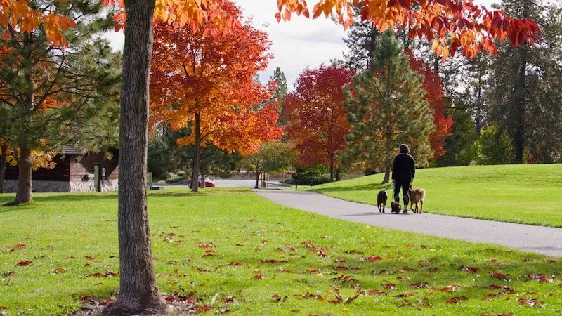 Still 2026-03-12 171751_1.23.1.jpg