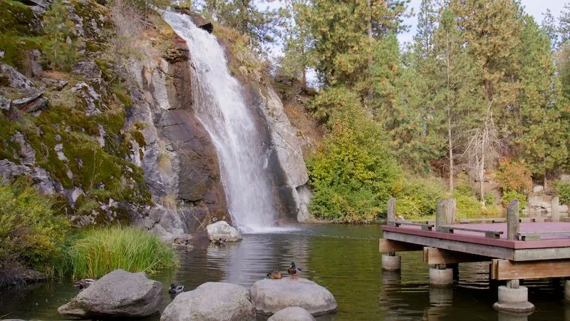 Still 2026-03-12 171751_1.28.1.jpg