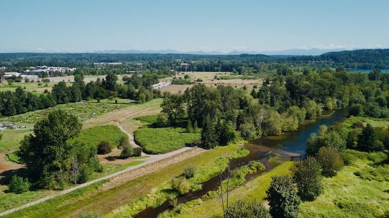 Still 2026-03-12 181508_1.7.1.jpg