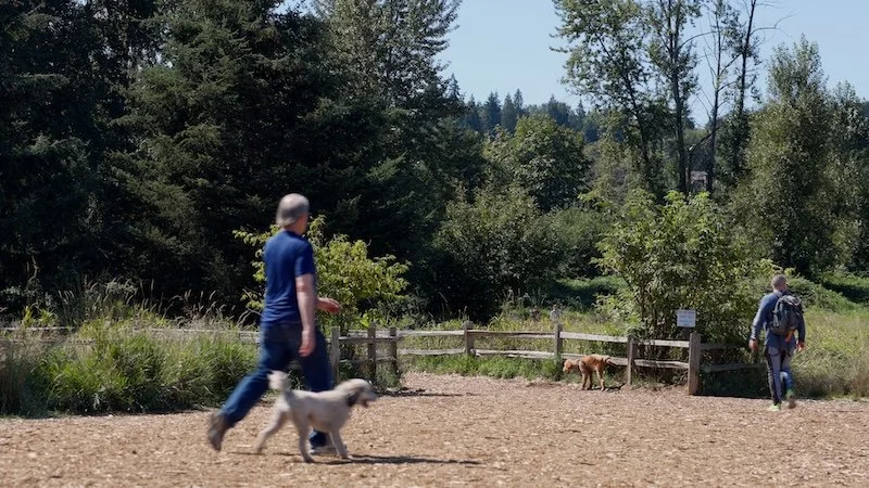 Still 2026-03-12 181508_1.4.1.jpg