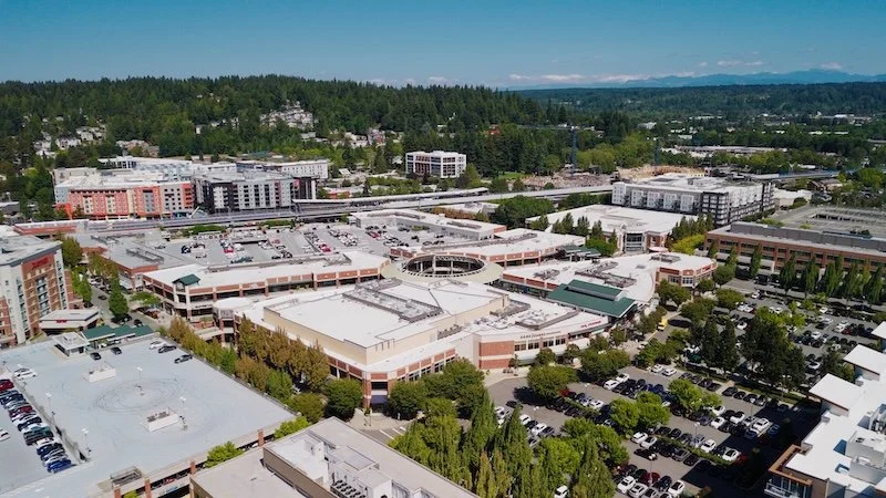 Still 2026-03-12 181508_1.28.1.jpg