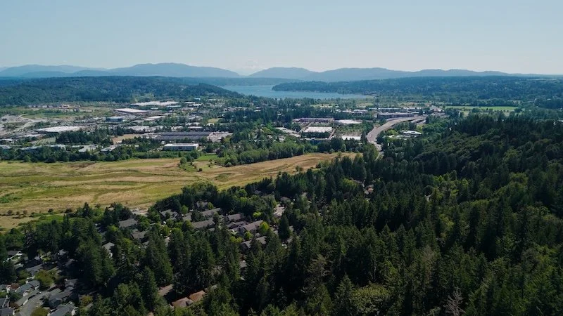 Still 2026-03-12 181508_1.45.1.jpg