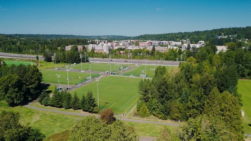 Still 2026-03-12 181915_1.12.1.jpg