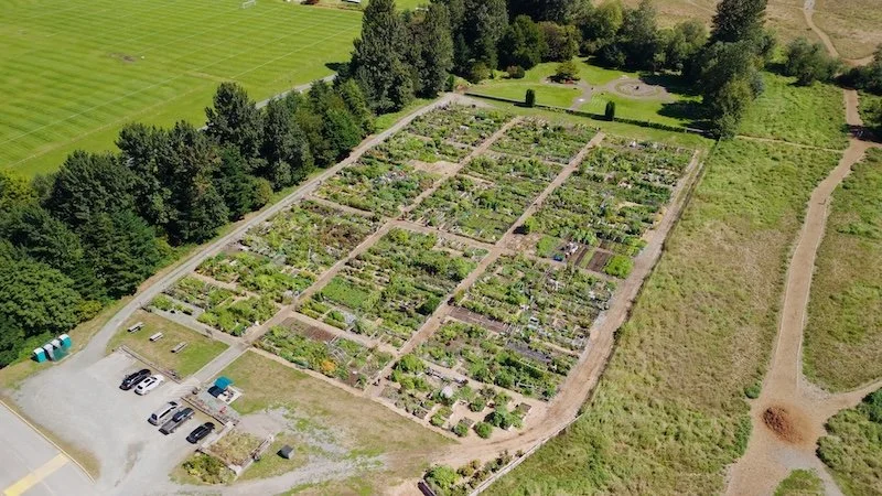 Still 2026-03-12 181909_1.4.1.jpg