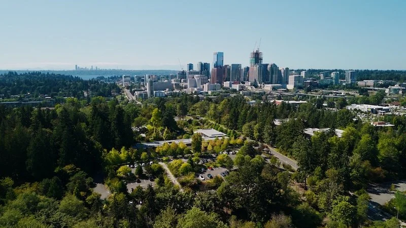 Still 2026-03-16 205840_1.3.1.jpg