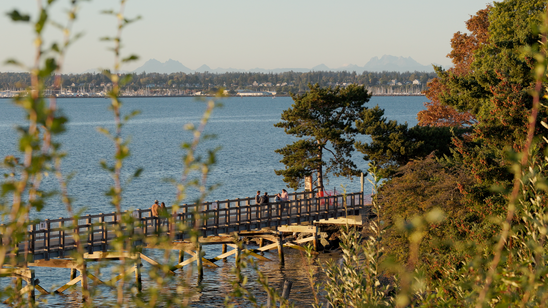 Bellingham, WA — Market Pack