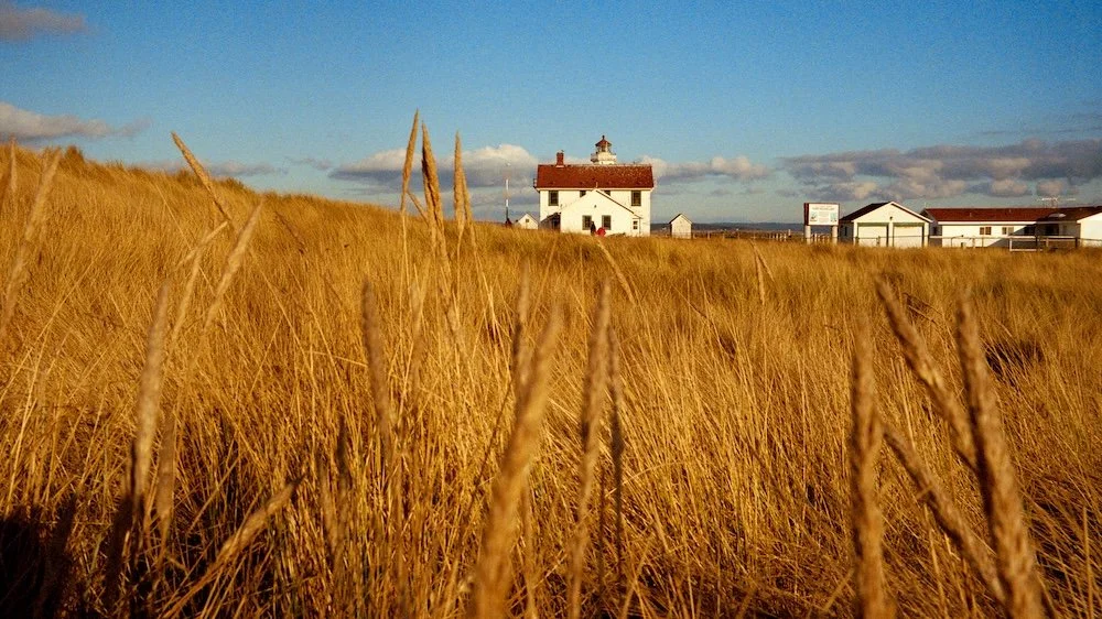 A lighthouse and several buildings behind a field of tall, golden grass under a partly cloudy sky.
