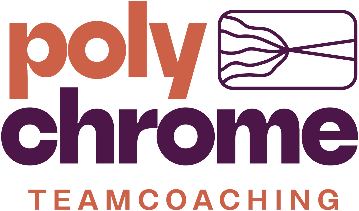 Polychrome Teamcoaching