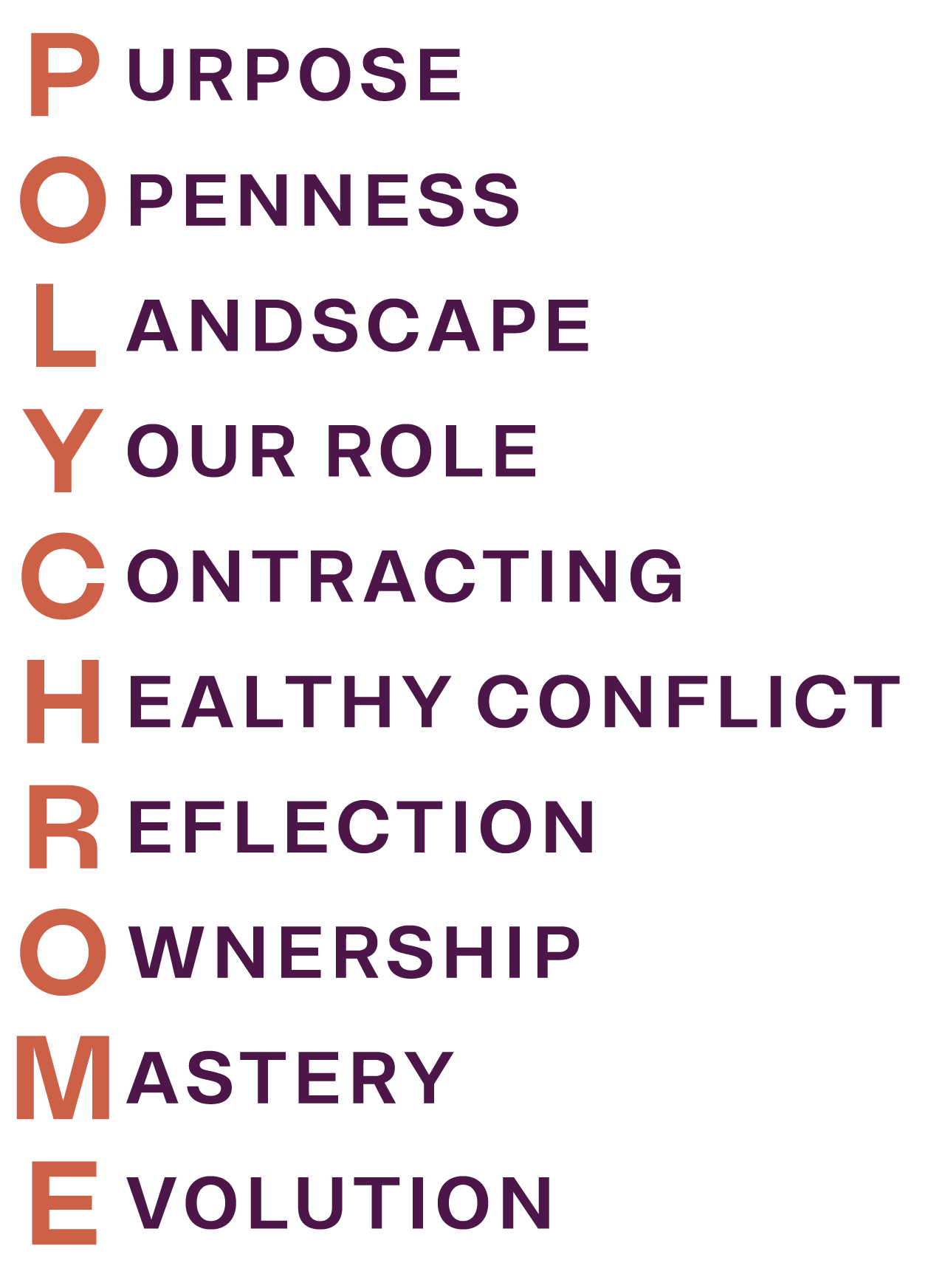 Het tienstappenplan van Polychrome:  purpose, openness, landscape, your role, contracting, healthy conflict, reflection, ownership, mastery en evolution.