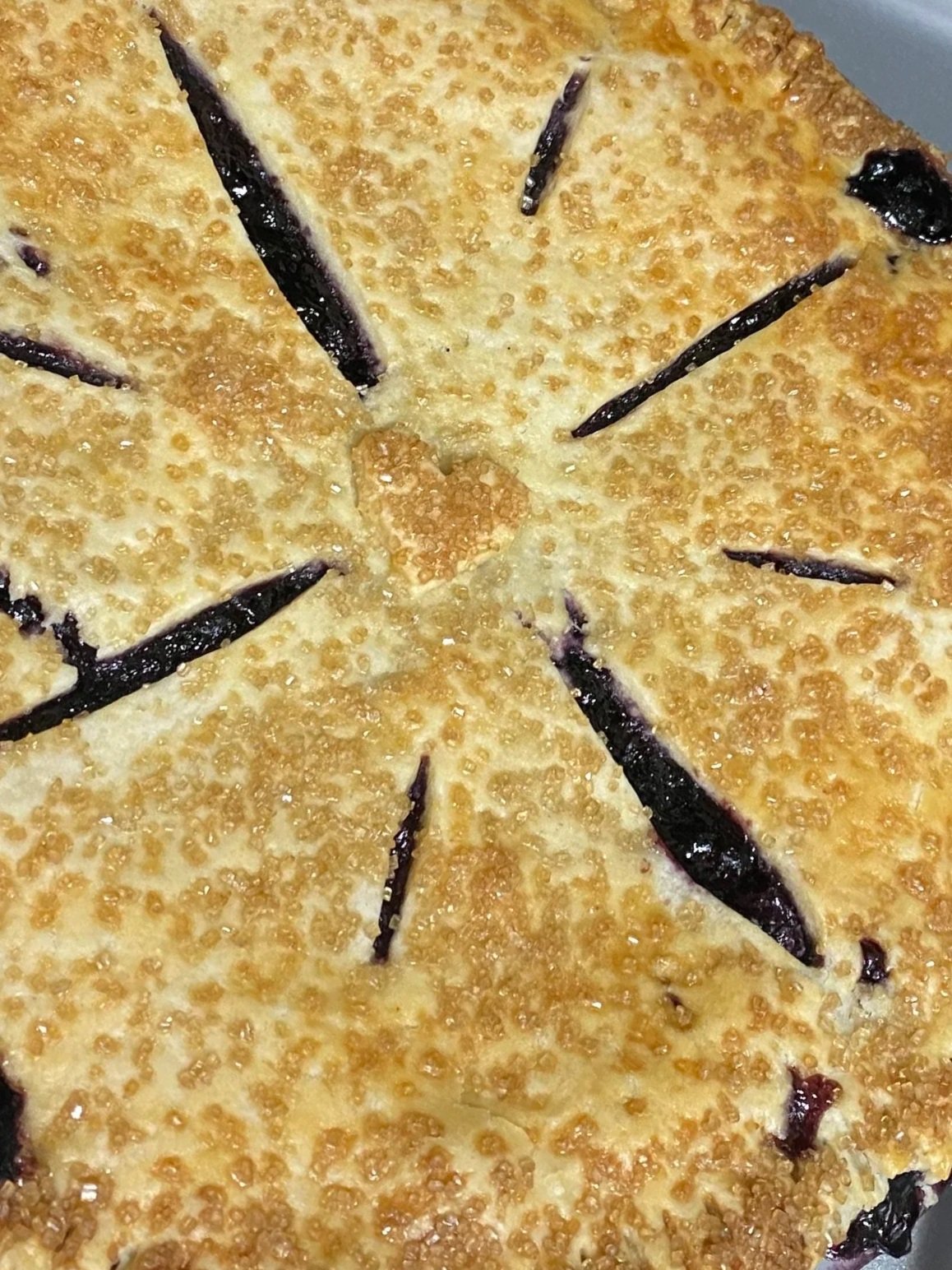 wild blueberry pie