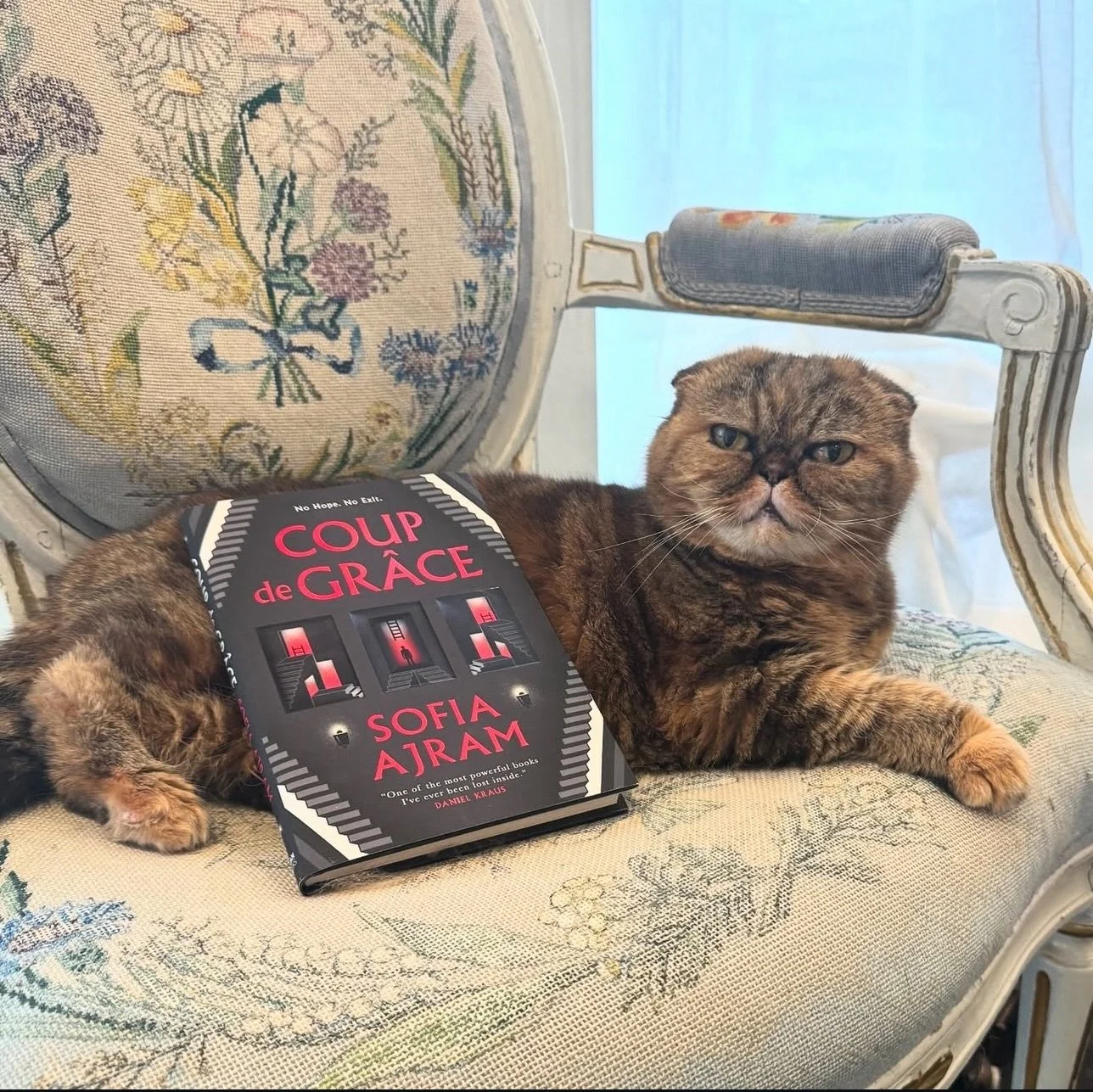Heart achey because I didn&rsquo;t get to attend StokerCon this year (my first time missing it since I started going in 2022, and I miss all my writer friends!), but I had a fun weekend in Toronto exploring TCAF with Len, meeting the parents (!), and