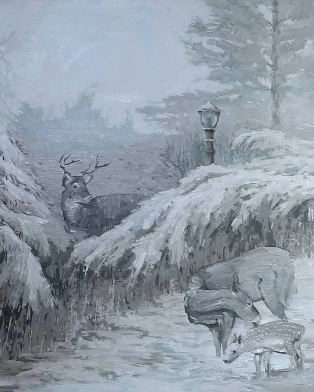 winter_deer.jpg