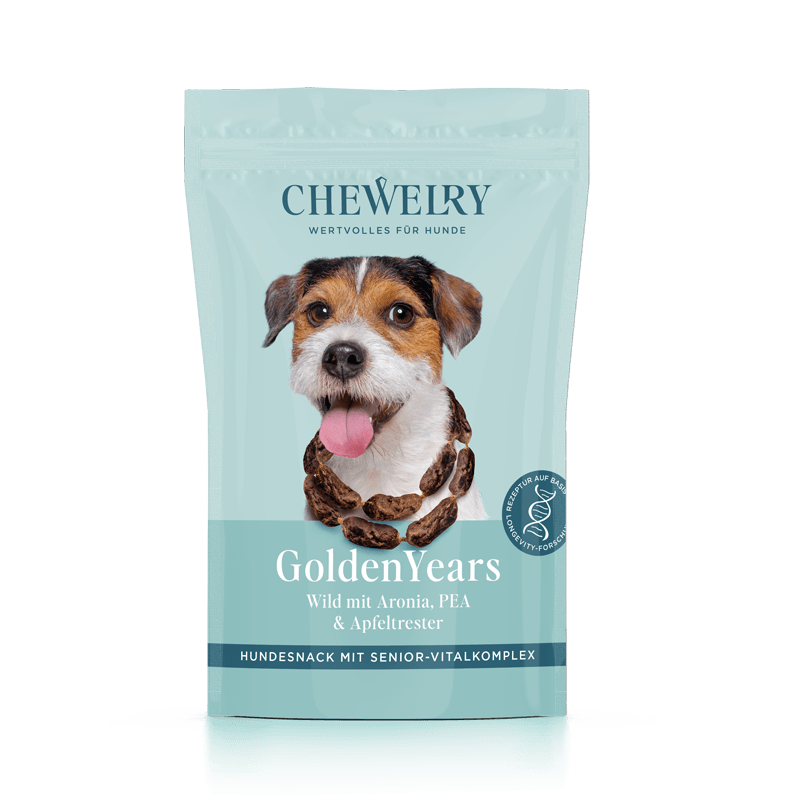 Eine Packung Hundesnacks der Marke Chewelry mit einem Bild eines Hundes, der die Zunge herausstreckt. Das Verpackungsdesign ist in Hellblau gehalten mit der Aufschrift "Golden Years". Der Hundesnack enthält Aronia, PEA und Apfeltrester.