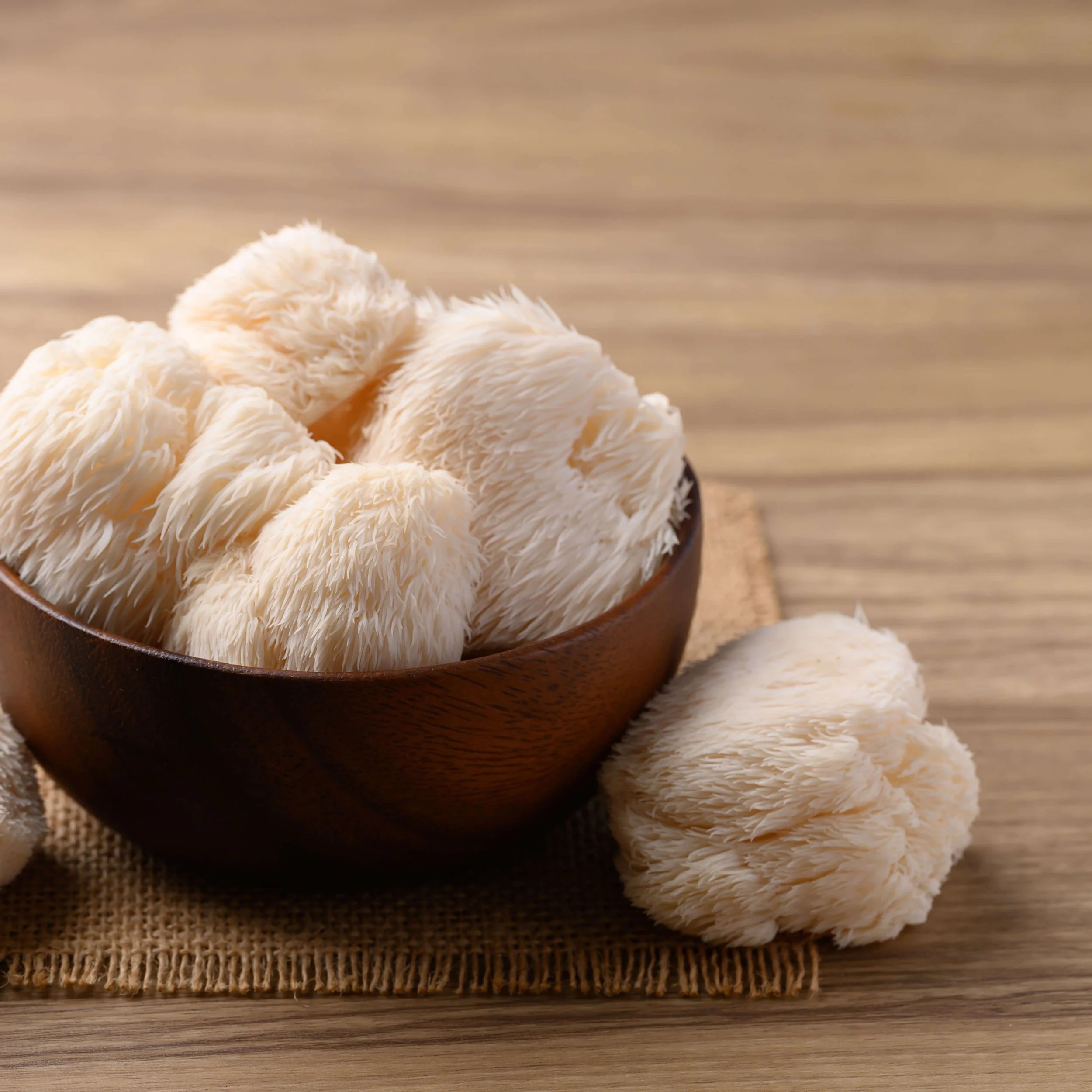 Eine Holzschale, in der einige Hericium Pilze liegen