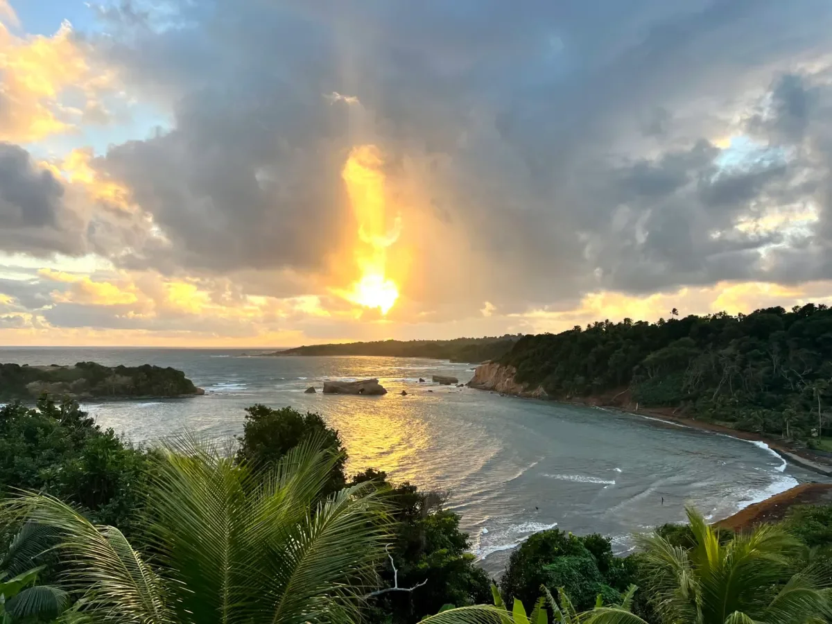A scenic view of a coastline at sunset with a cloudy sky, lush green trees, and a calm bay with rocks and small waves.