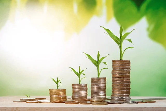 Stacks of coins with small green plants growing from each stack, increasing in height from left to right, symbolizing financial growth.