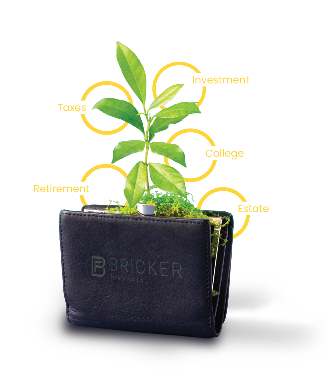 A black wallet with the logo 'Bricker Financial' on it serves as the base for a small green plant growing out of it. The plant has several leaves, and labels with words such as 'Taxes,' 'Retirement,' 'Investment,' 'College,' and 'Estate' are connected to the plant with yellow lines, suggesting financial planning and growth.