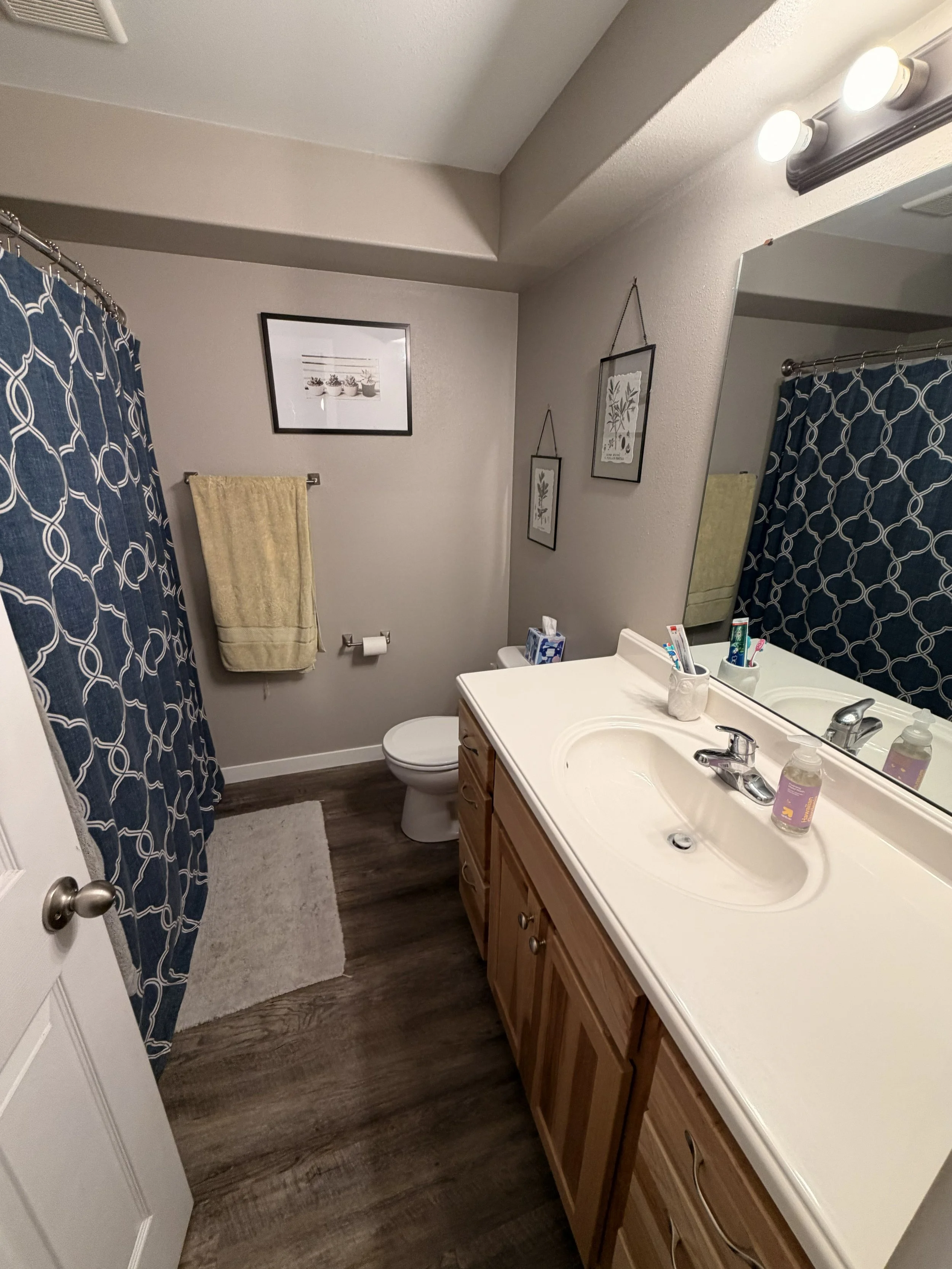 Basement Bath 207.jpg