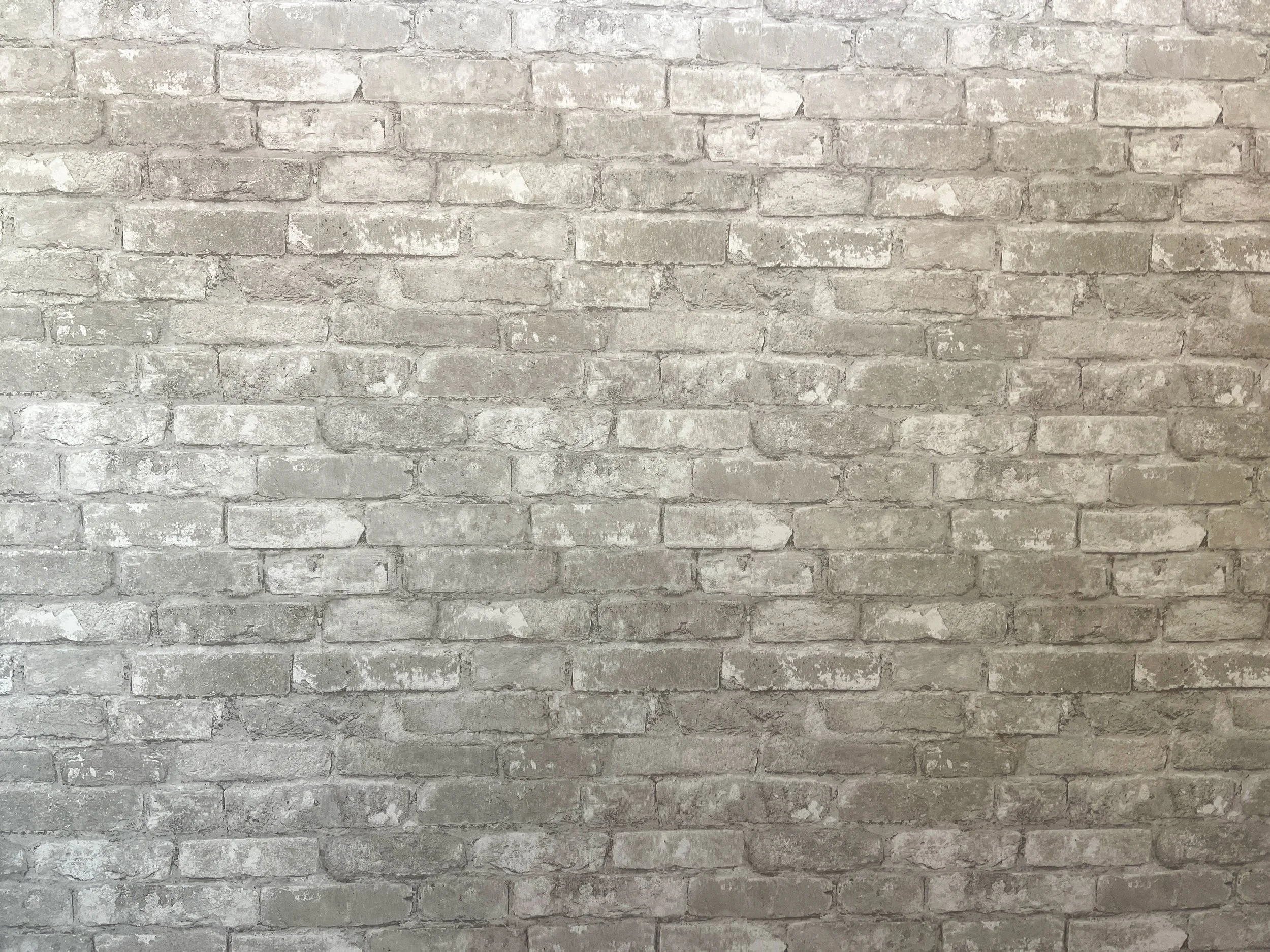 Light brick texture wall backdrop in a private Los Angeles fitness and content creation studio for lifestyle, editorial, and fitness photography shoots.