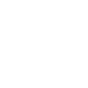 A black and white illustration of a hammer and sickle symbol.