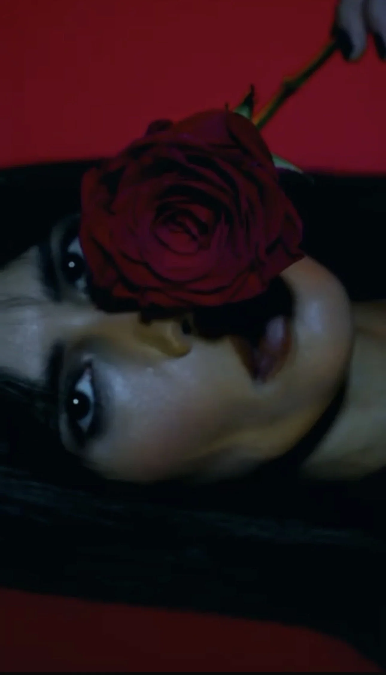 BOTICÁRIO FLORATTA RED PASSION - CAMPAIGN