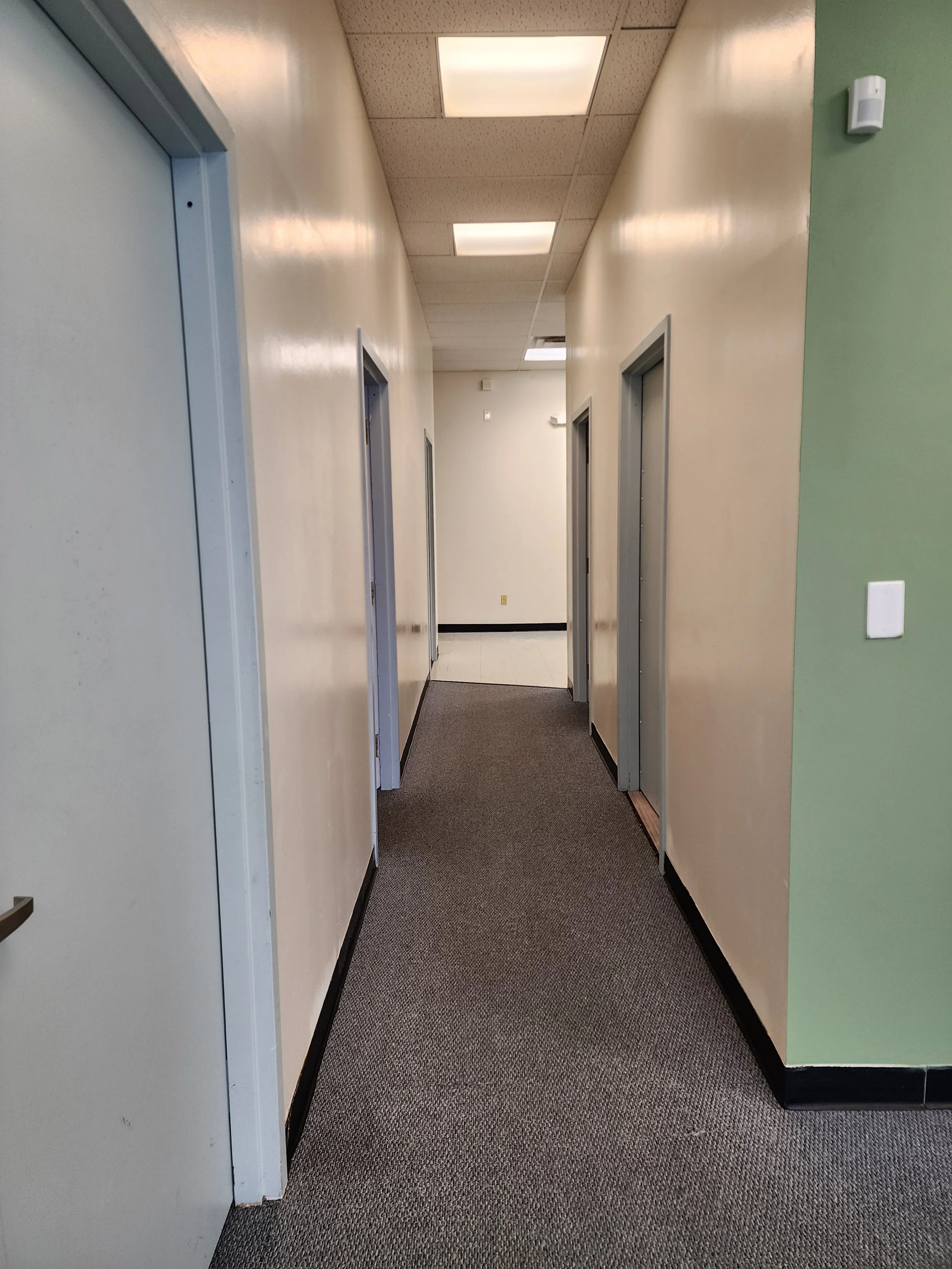 Empty hallway with closed doors on both sides, white walls, gray carpeting, and ceiling lights.