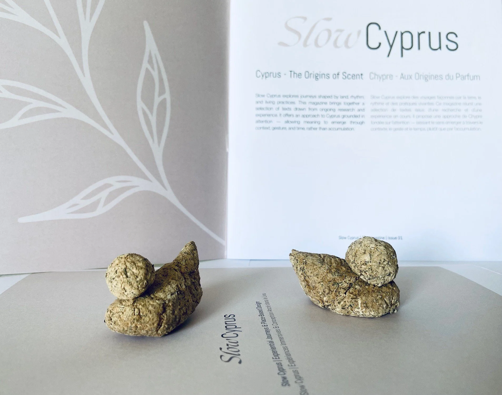 The Little Birds of Cyprus