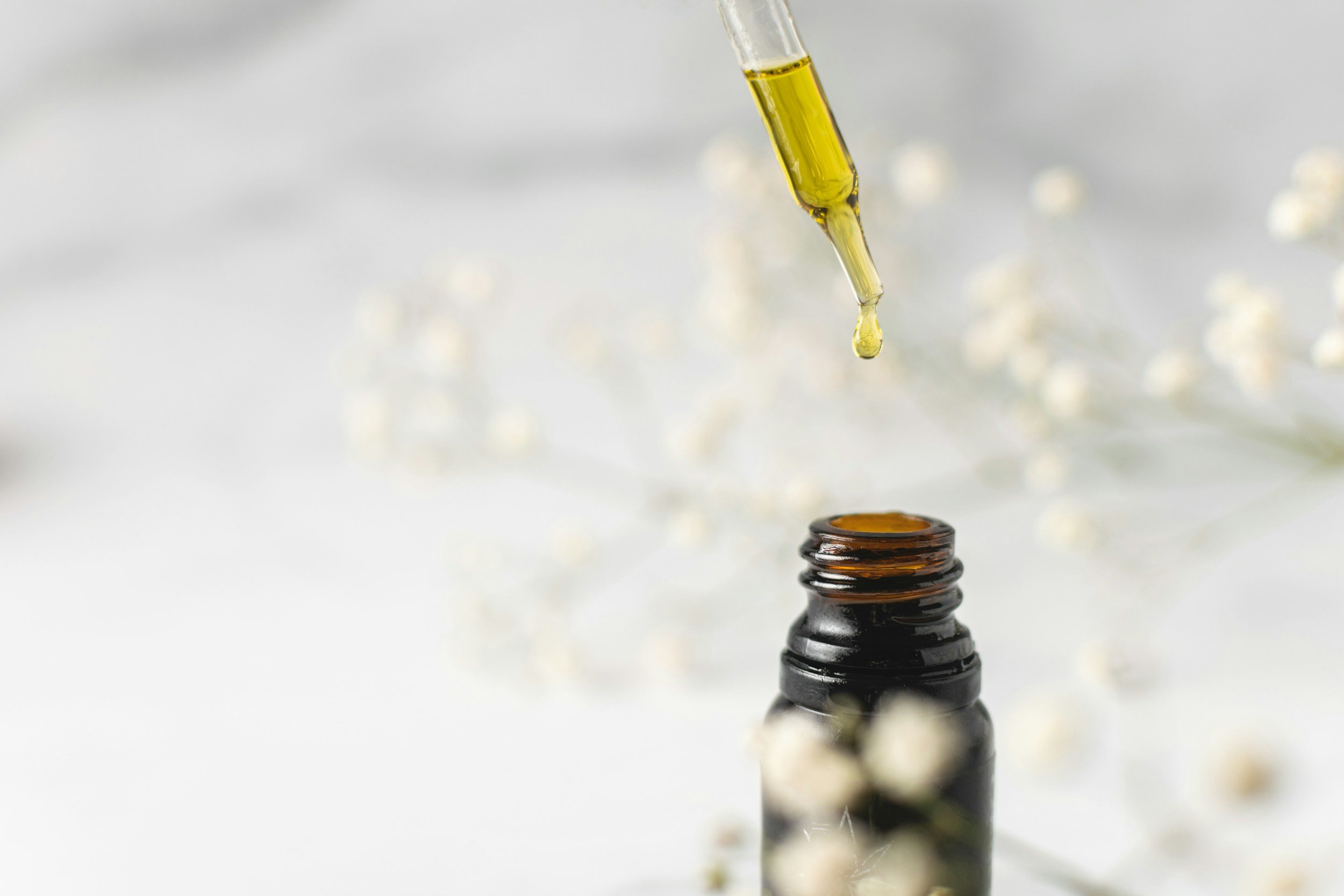 The Art of Plants &amp; Scent