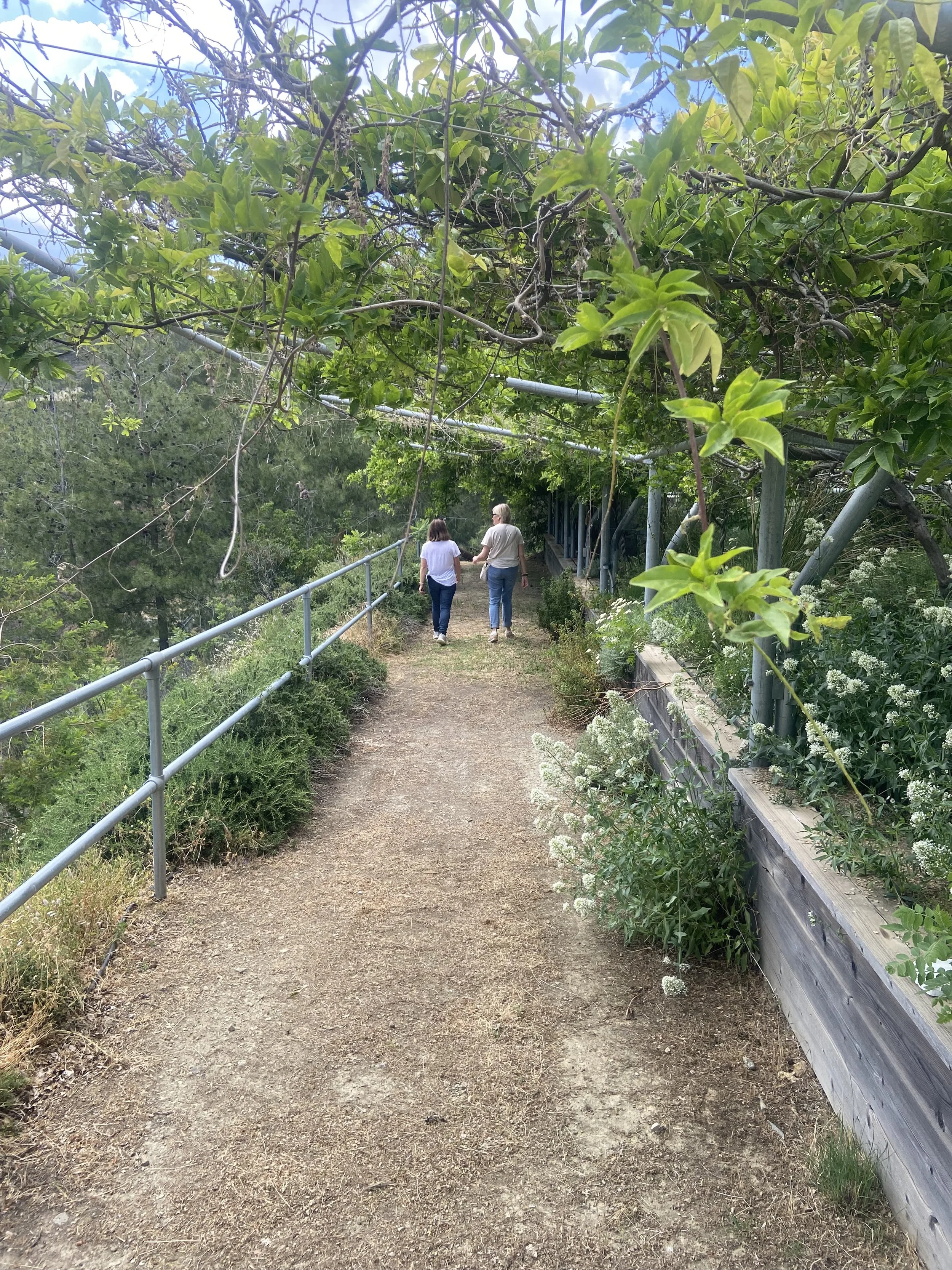 nature walk to the viewpoint at Solea Valley.jpeg