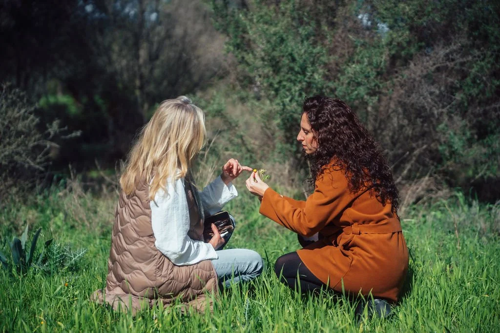 Herbs and plants aromas