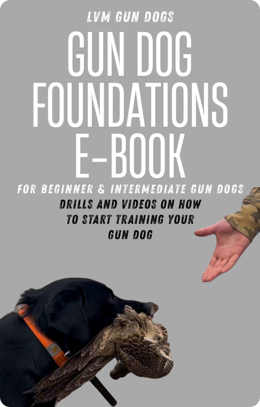 E-Book for Beginner & Intermediate Gun Dogs (Foundations)