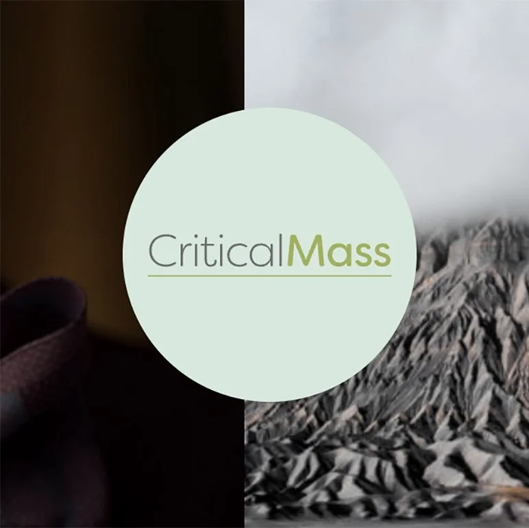 Jurist for the Finals of Critical Mass