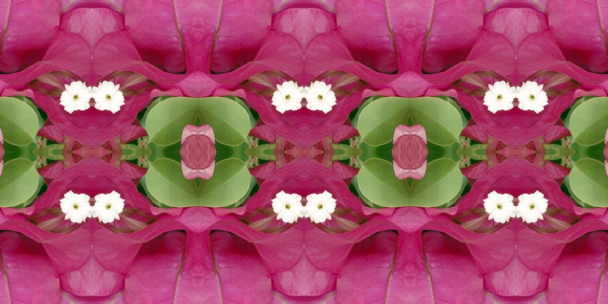 BOUGANVILLA PATTERN