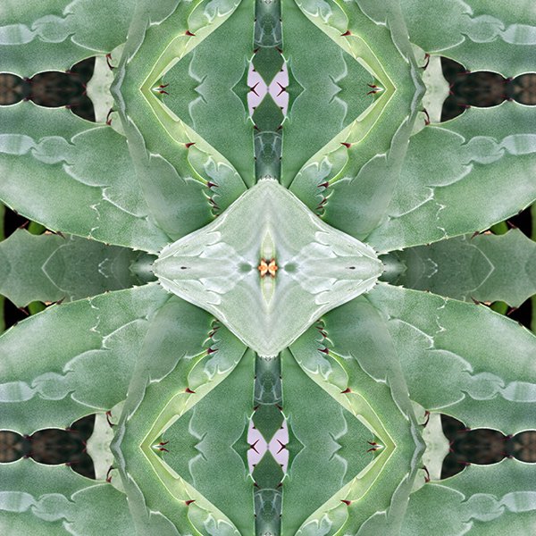 Agave Swatch.jpg