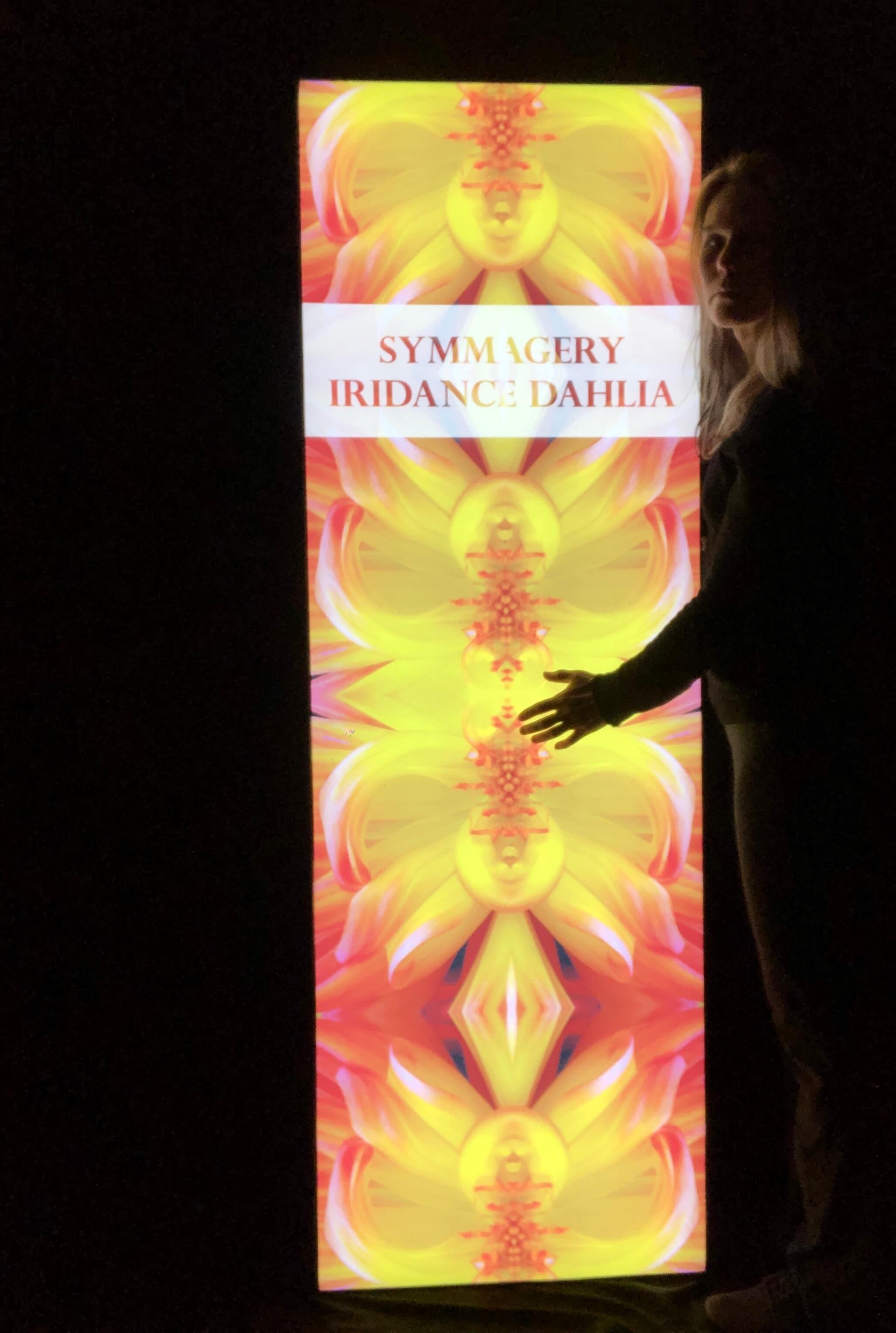 symmagery-design_home_carousel-iridance-dahlia-backlit.jpg