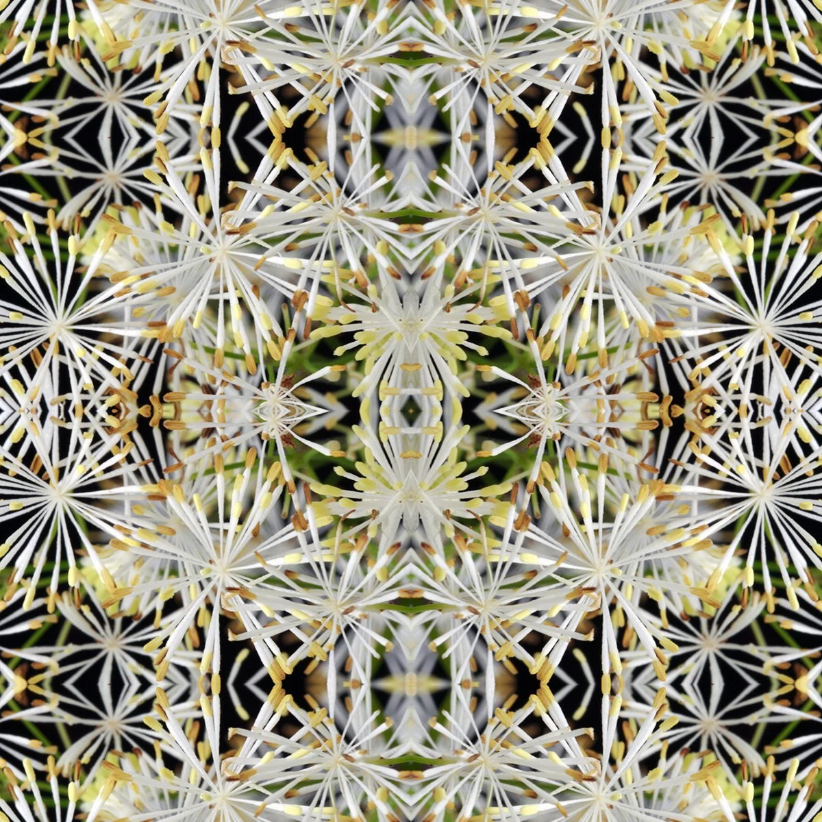 Meadowrue Pattern Swatch.jpg