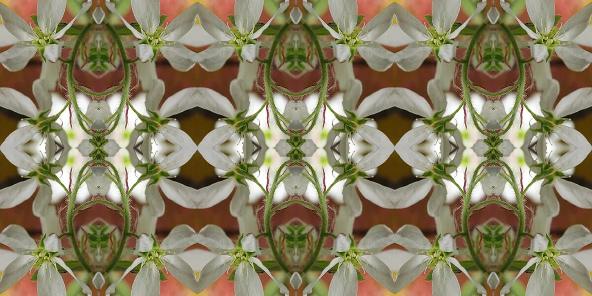 SHADBLOW PATTERN