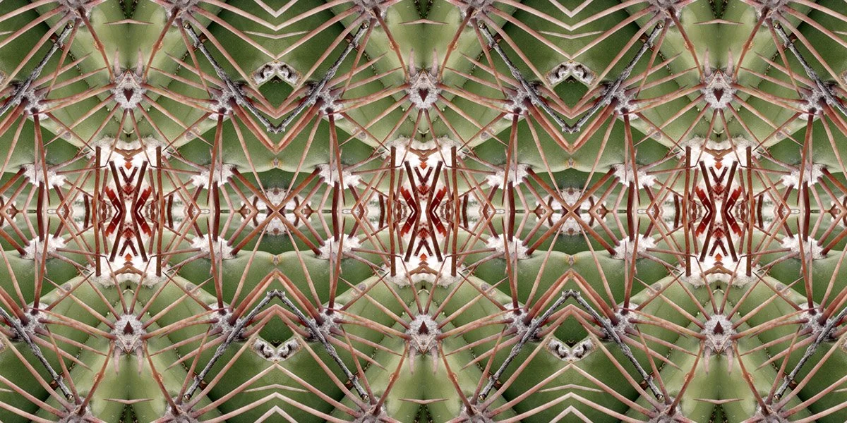 BARREL CACTUS PATTERN
