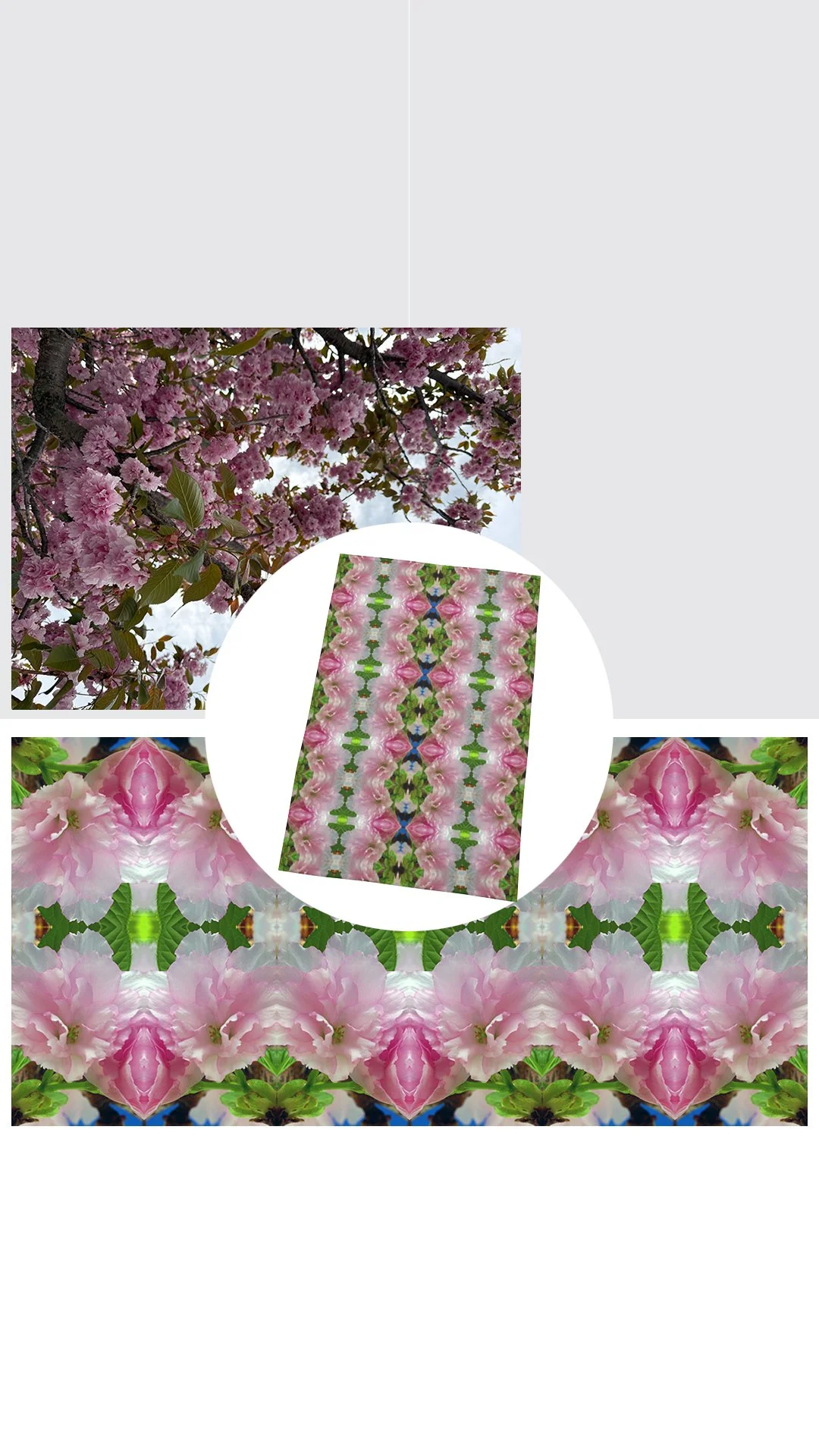 Symmagery Cherry Blossom Tea Towel